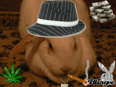 0309/CocoPeligroso0319.gif 0309/CocoPeligroso0319.gif