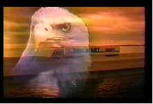 0506/eagle3530.jpg