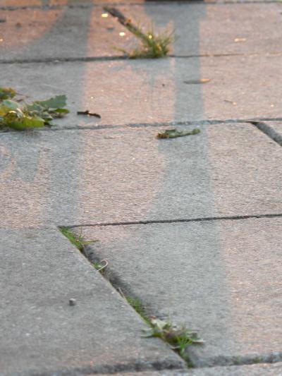 0807/Crack0828.jpg