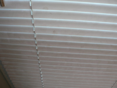 1206/dirty_blind3117.jpg