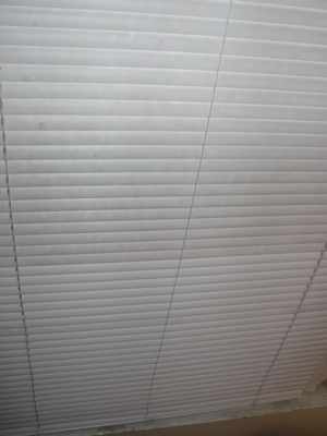 1206/half_dirty3117.jpg
