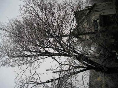 0107/Ice20070020115.jpg