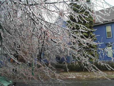 0107/Ice20070040115.jpg