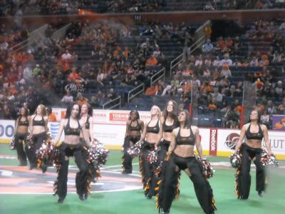 0109/116HawksCrushed00330118.jpg 0109/116HawksCrushed00330118.jpg