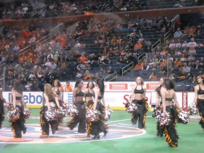 0109/116HawksCrushed00480118.jpg 0109/116HawksCrushed00480118.jpg