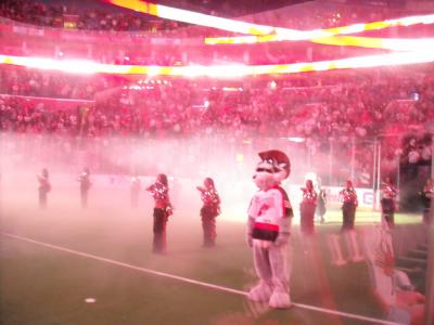0109/116HawksCrushed00650118.jpg 0109/116HawksCrushed00650118.jpg