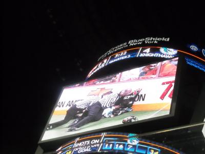 0109/116HawksCrushed01850118.jpg 0109/116HawksCrushed01850118.jpg