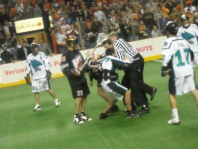 0109/116HawksCrushed02470118.jpg 0109/116HawksCrushed02470118.jpg