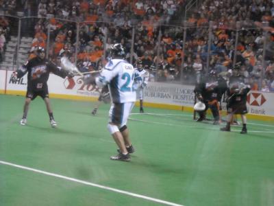 0109/116HawksCrushed02500118.jpg 0109/116HawksCrushed02500118.jpg