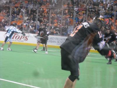 0109/116HawksCrushed02640118.jpg 0109/116HawksCrushed02640118.jpg
