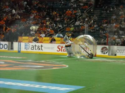 0409/ASDBisonsBanditsBdayEaster20094570416.jpg 0409/ASDBisonsBanditsBdayEaster20094570416.jpg