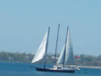 0508/10054660511.jpg