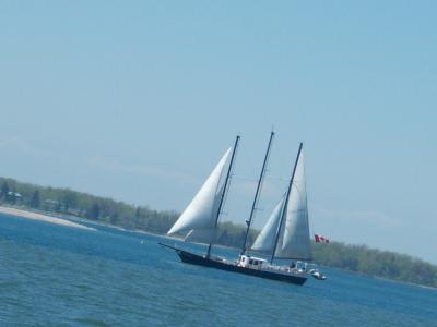 0508/10054710511.jpg