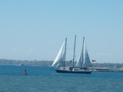 0508/10054810511.jpg
