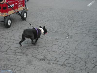 0509/HospiceWalk20090430517.jpg