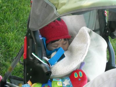 0509/HospiceWalk20090870517.jpg