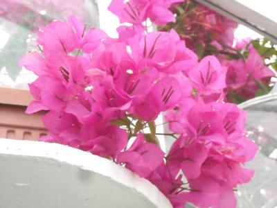 0509/MothersDay20091180510.jpg