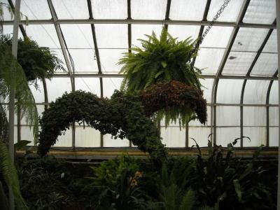 0509/MothersDay20091880510.jpg