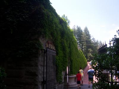 0708/10071420702.jpg