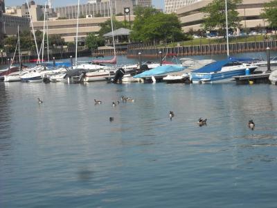 0709/DSCN25130701.jpg