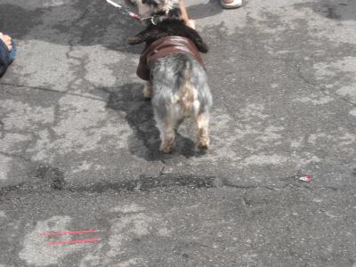 0709/DSCN35100713.jpg