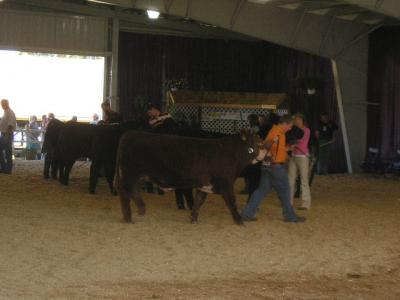 0806/Fair_8-12-2006_0061937.jpg