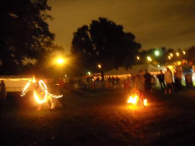 0908/MIA200804120917.jpg