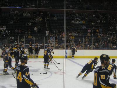 1007/SabresPenguins070181002.jpg 1007/SabresPenguins070181002.jpg