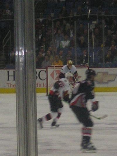1105/Buffalo_Sabres_043__2_2655.jpg