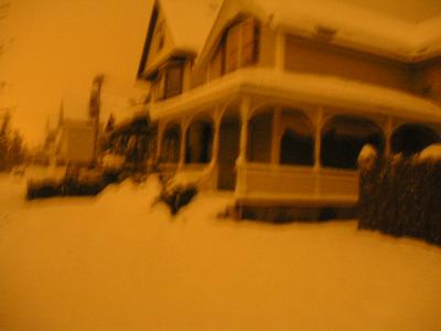 1106/KittenOctStorm06_0095737.jpg 1106/KittenOctStorm06_0095737.jpg