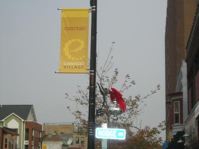 1107/ElmwoodNov070101111.jpg