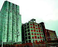 1205/1206oats1350.jpg