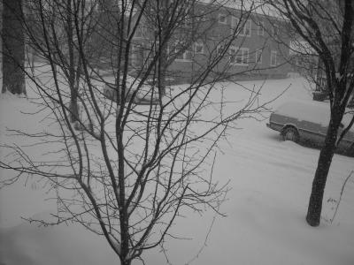 1208/KingsSabres00051220.jpg