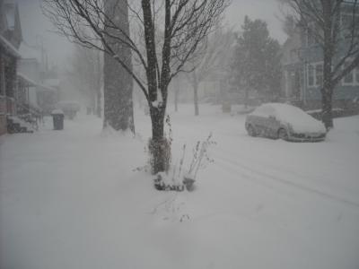 1208/KingsSabres00081220.jpg