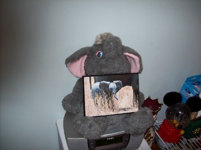 1107/Stuffedelephant1110.jpg 1107/Stuffedelephant1110.jpg