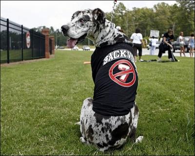 1207/Dog1214.jpg