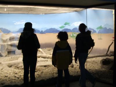 0307/Kids0304.jpg 0307/Kids0304.jpg