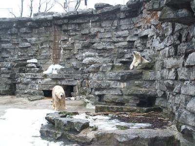 0309/Bear10308.jpg 0309/Bear10308.jpg