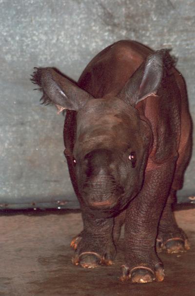 0508/Baby60503.jpg