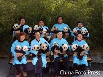0708/Panda1Copy0703.jpg