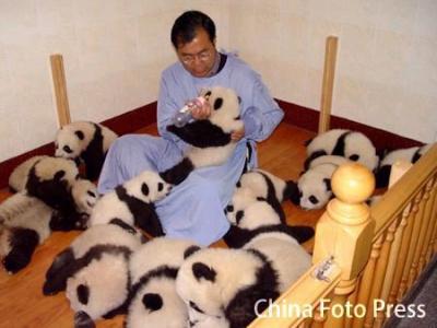 0708/Panda3Copy0703.jpg