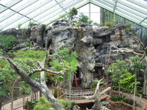 1008/Rainforest047021002.gif
