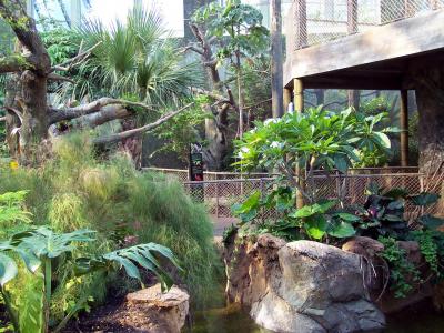 1008/Rainforest30061002.jpg