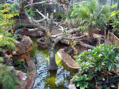1008/Rainforest30281002.jpg