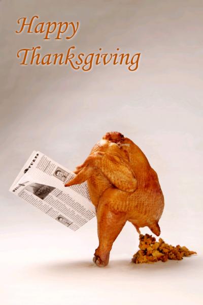 1108/TurkeyPooCopy1126.jpg