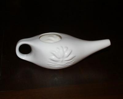 0207/750pxNetiPot0204.jpg