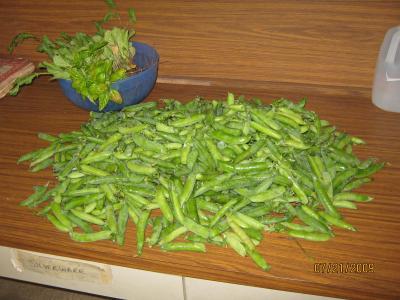 0709/IMG00320728.jpg