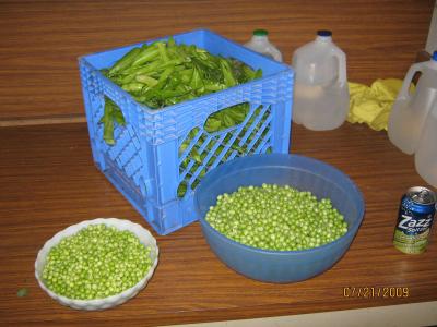 0709/IMG00340728.jpg