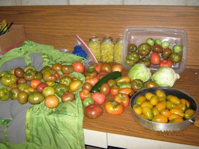 0809/IMG02740829.jpg