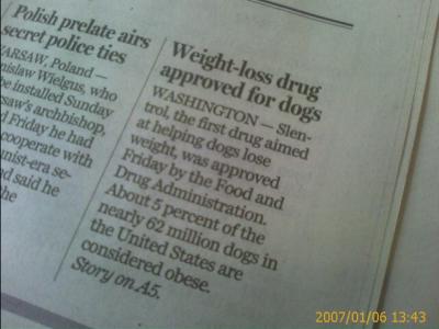 0107/DogDietPill0106.jpg 0107/DogDietPill0106.jpg